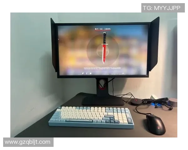csgo比赛显示器多大-CSGO比赛中的显示器尺寸选择-csgo比赛显示器多大